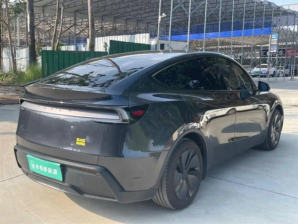 Tesla Model Y — миниатюра 14