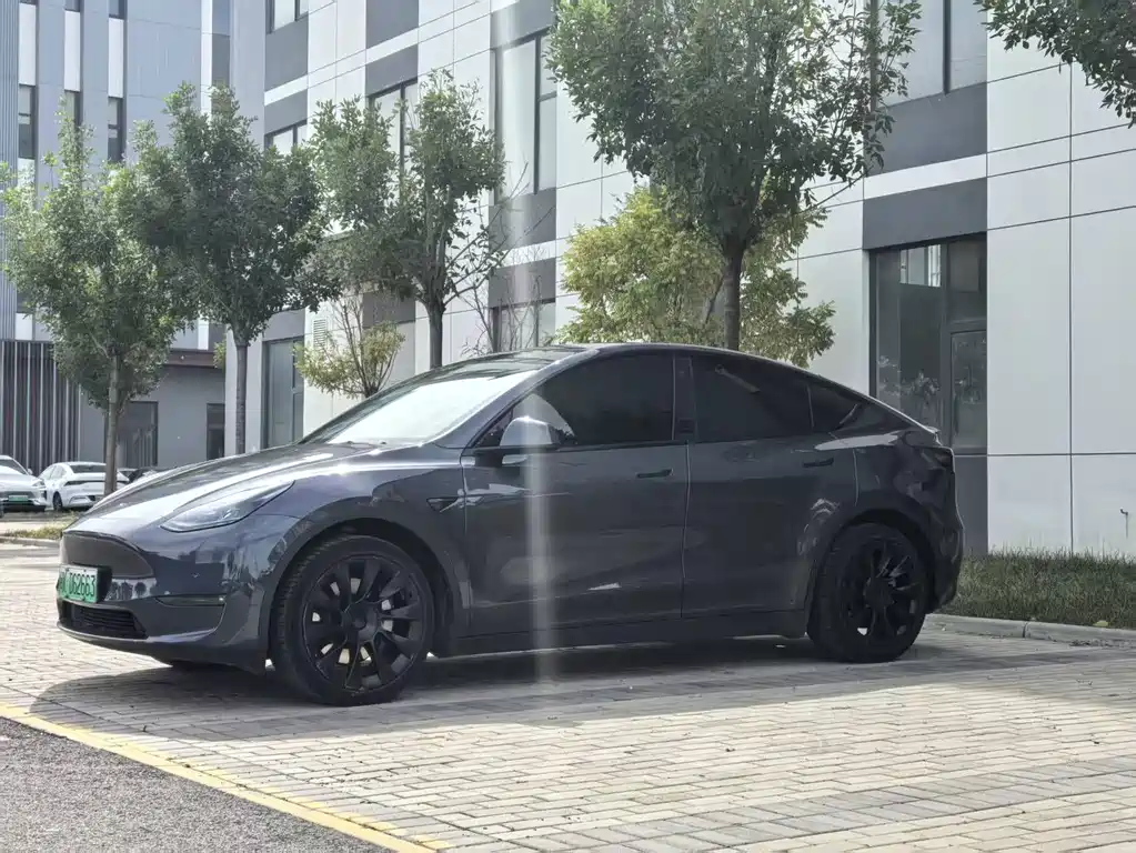 Tesla Model Y — миниатюра 3