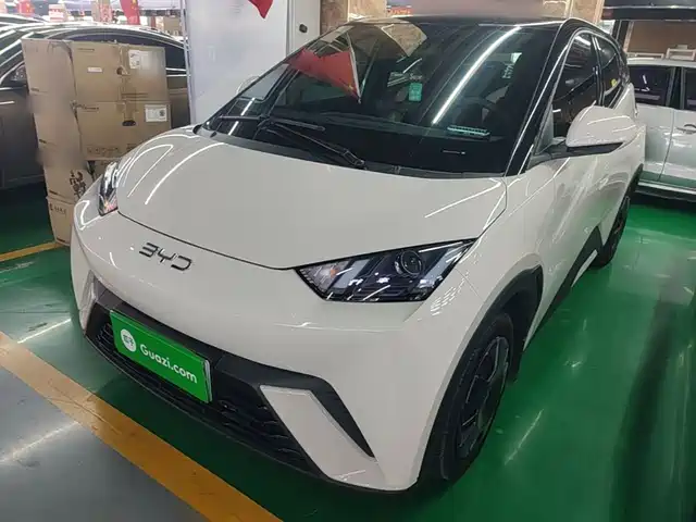 2024 BYD Seagull