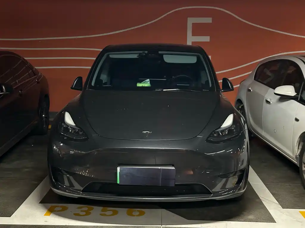 Tesla Model Y — миниатюра 2
