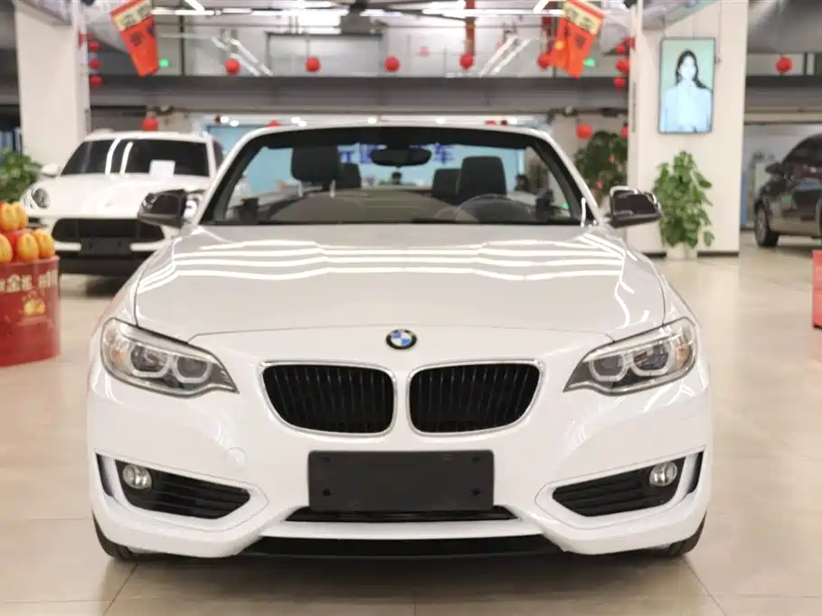 BMW 2 Series 2 2015 218i