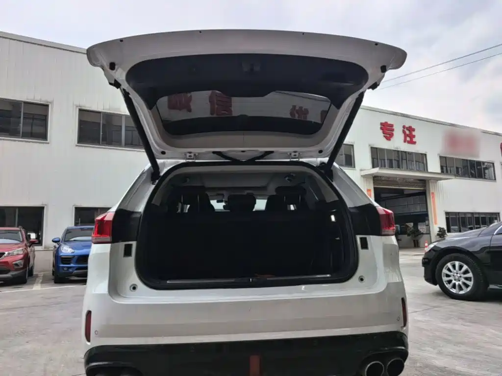 Wey Wey VV6 — миниатюра 19