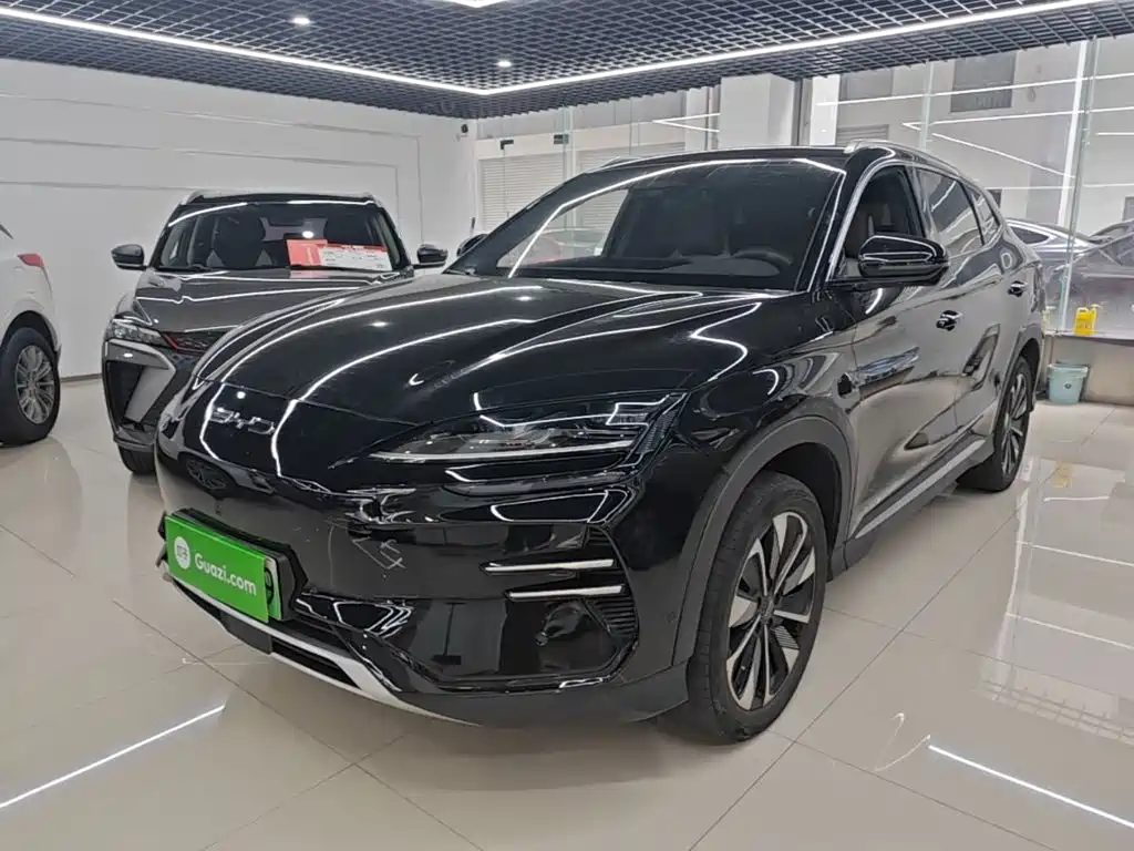 BYD PLUS New Energy — миниатюра 2