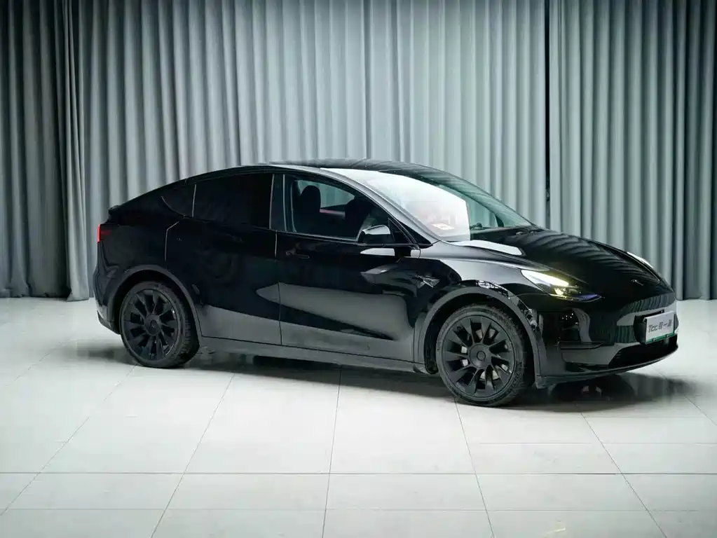 Tesla Model Y — миниатюра 3