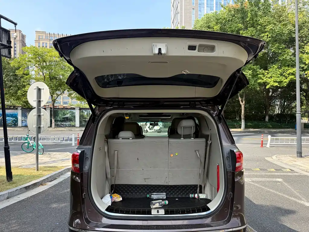 Buick GL8 — миниатюра 13