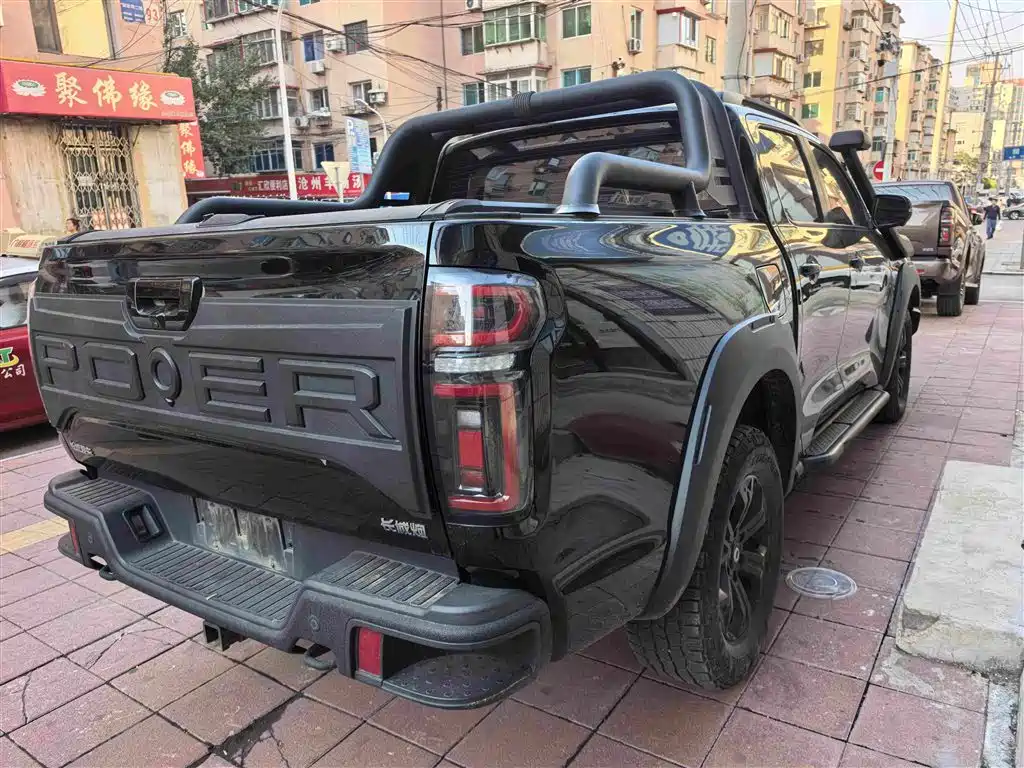 Great Wall Pao — миниатюра 8