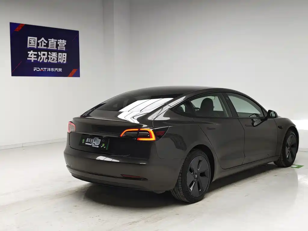 Tesla Model 3 — миниатюра 4