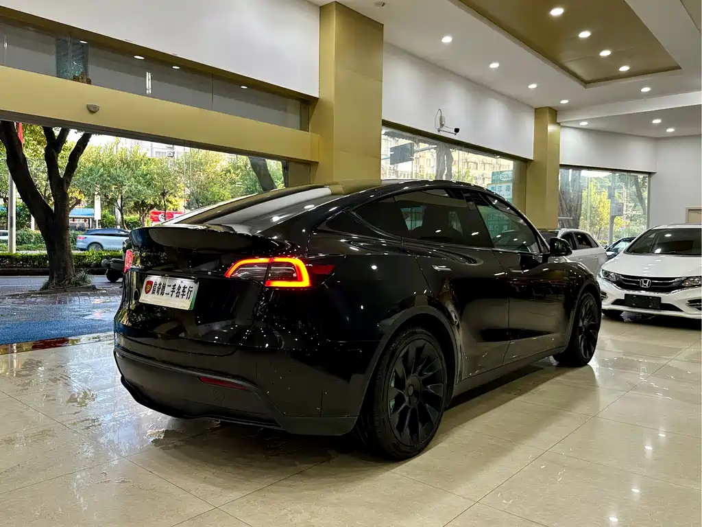 Tesla Model Y — миниатюра 3
