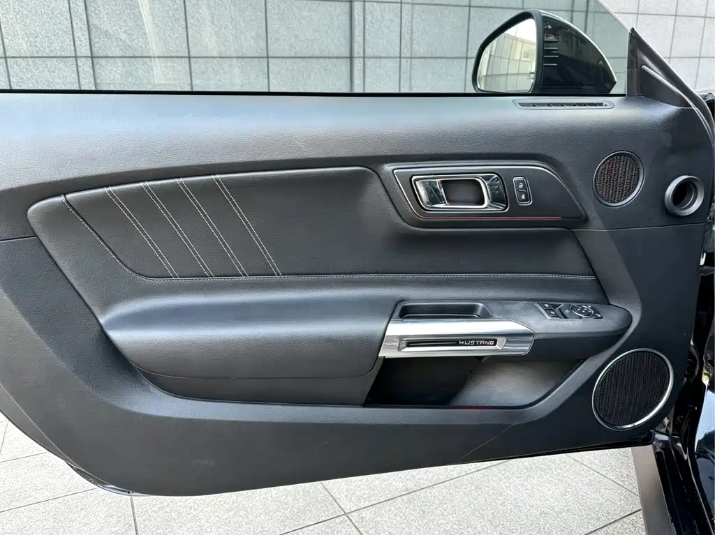 Ford Mustang — миниатюра 13