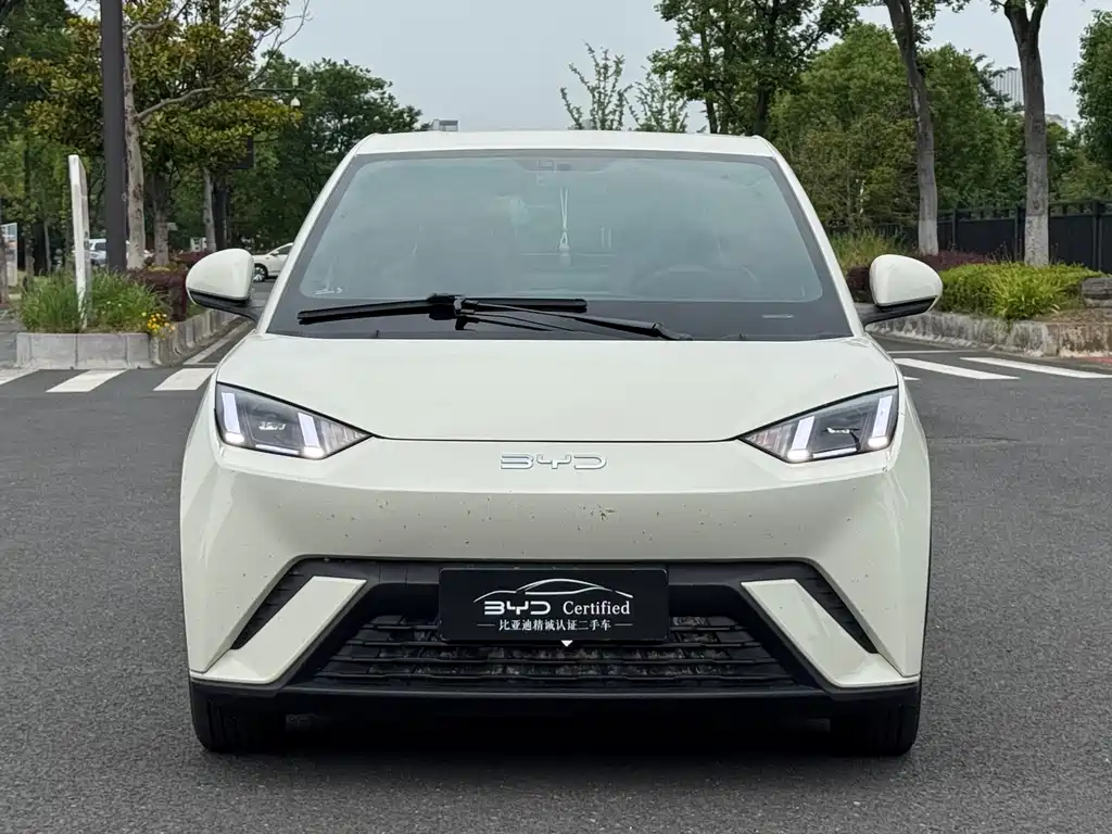 BYD Seagull 2024 305km Freedom
