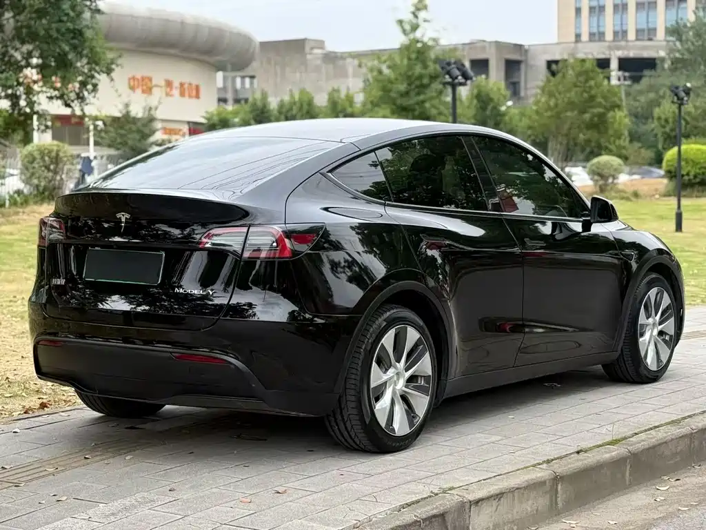 Tesla Model Y — миниатюра 7