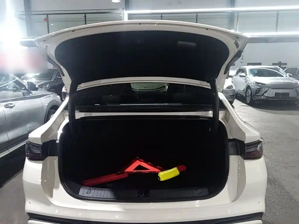 BYD Seal 06 — миниатюра 19