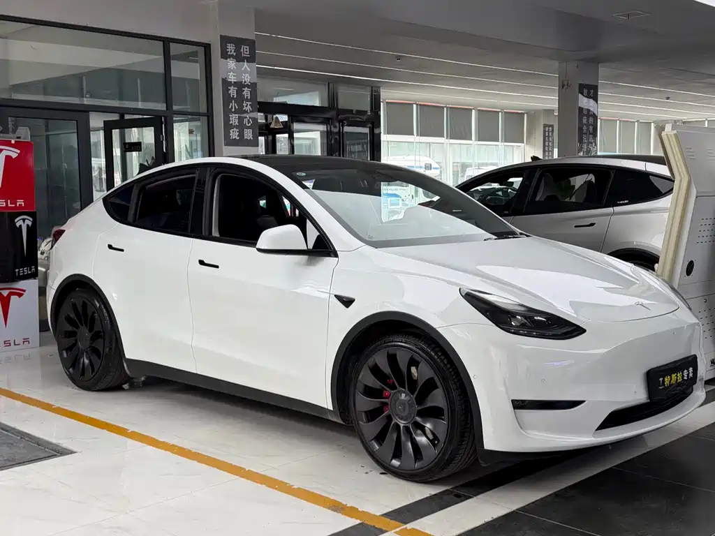 Tesla Model Y — миниатюра 3