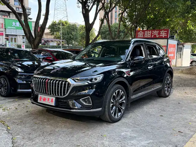 2020 Hongqi HS5
