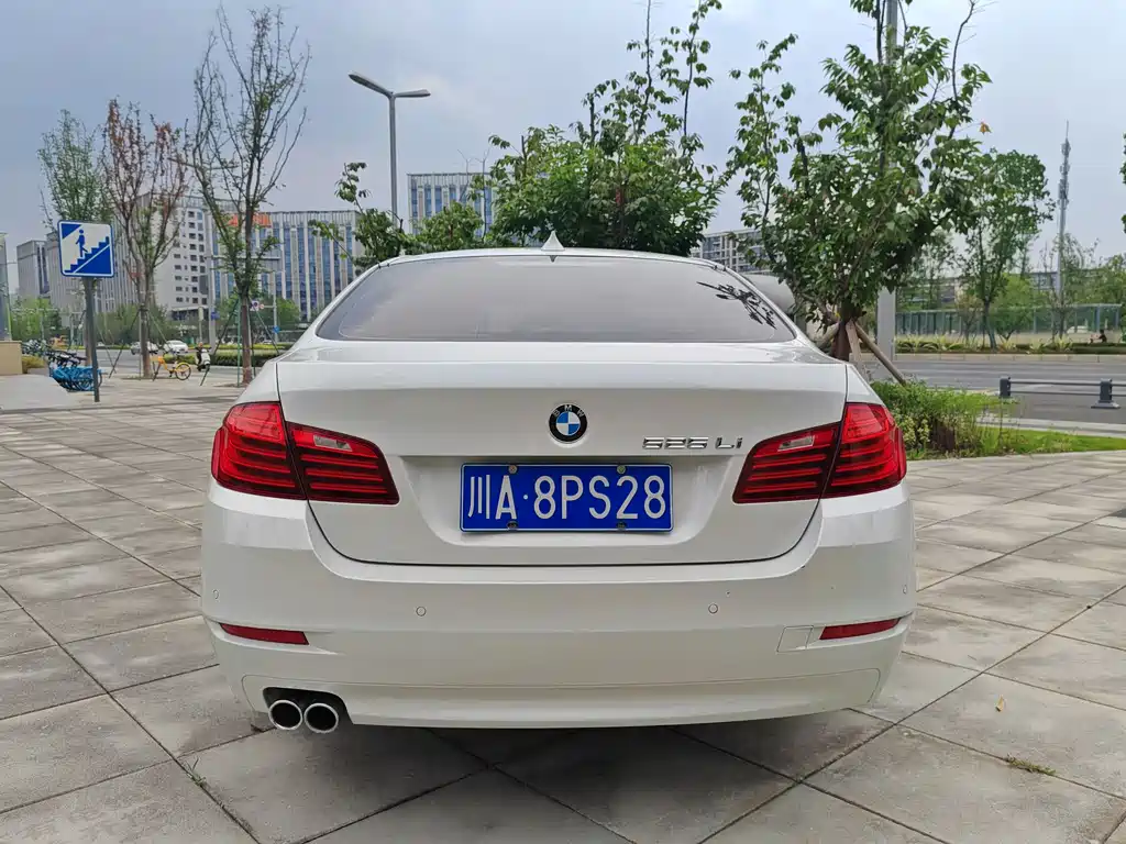 BMW 5 Series 5 2014 525Li Lead