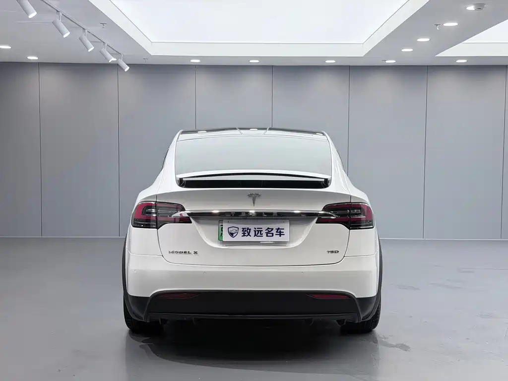 Tesla Model X — миниатюра 5