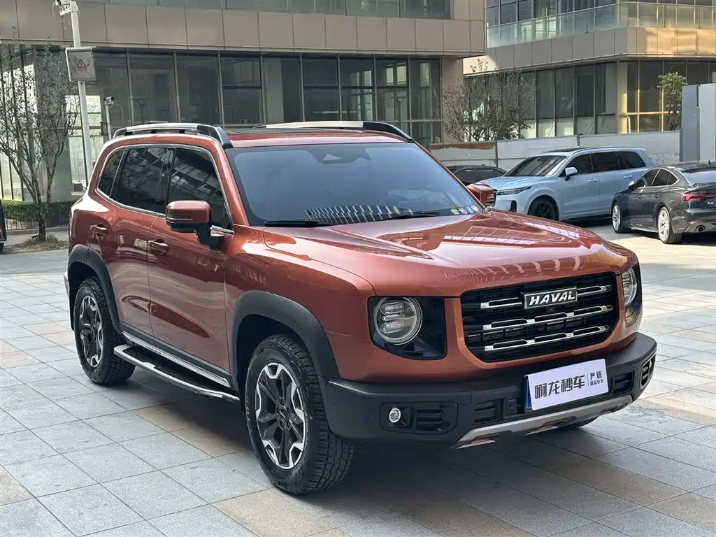 HAVAL BIG DOG