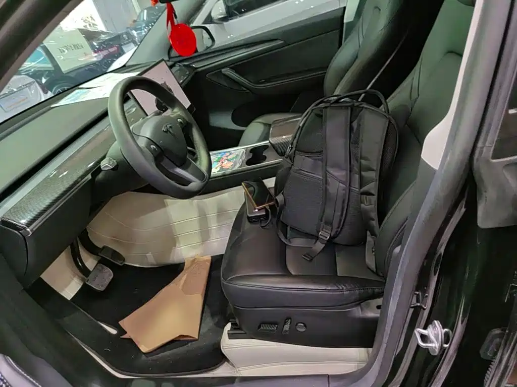 Tesla Model Y — миниатюра 15