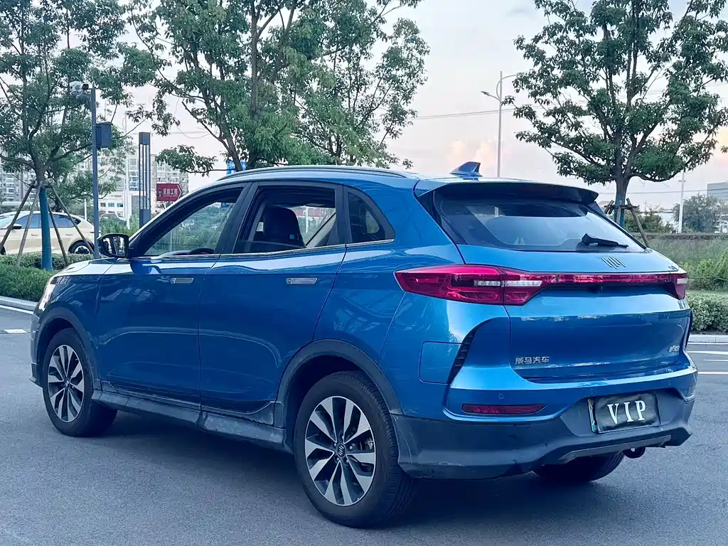 WM Motor EX5 — миниатюра 11
