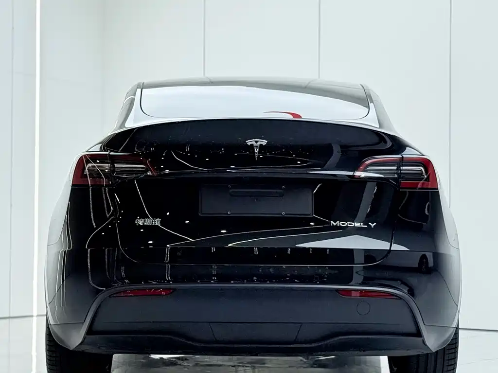 Tesla Model Y — миниатюра 15