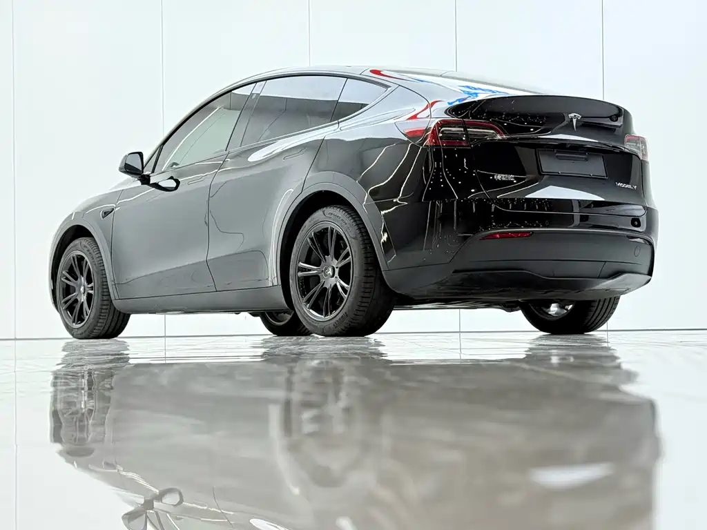 Tesla Model Y — миниатюра 14