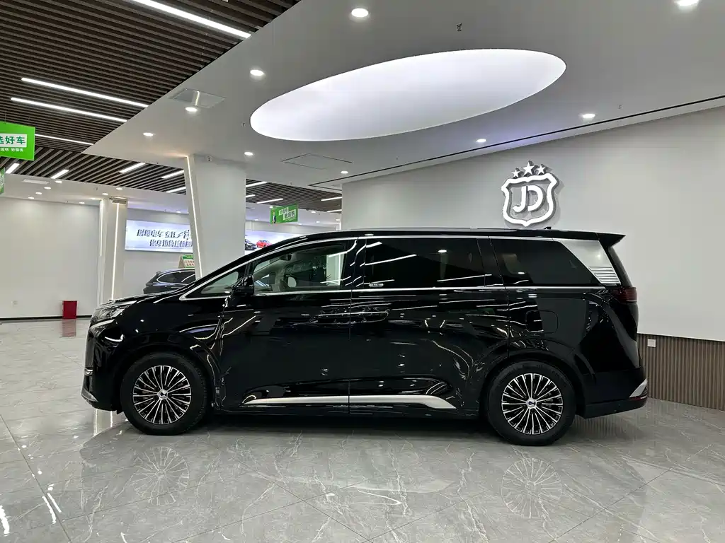 Denza Denza D9 — миниатюра 4