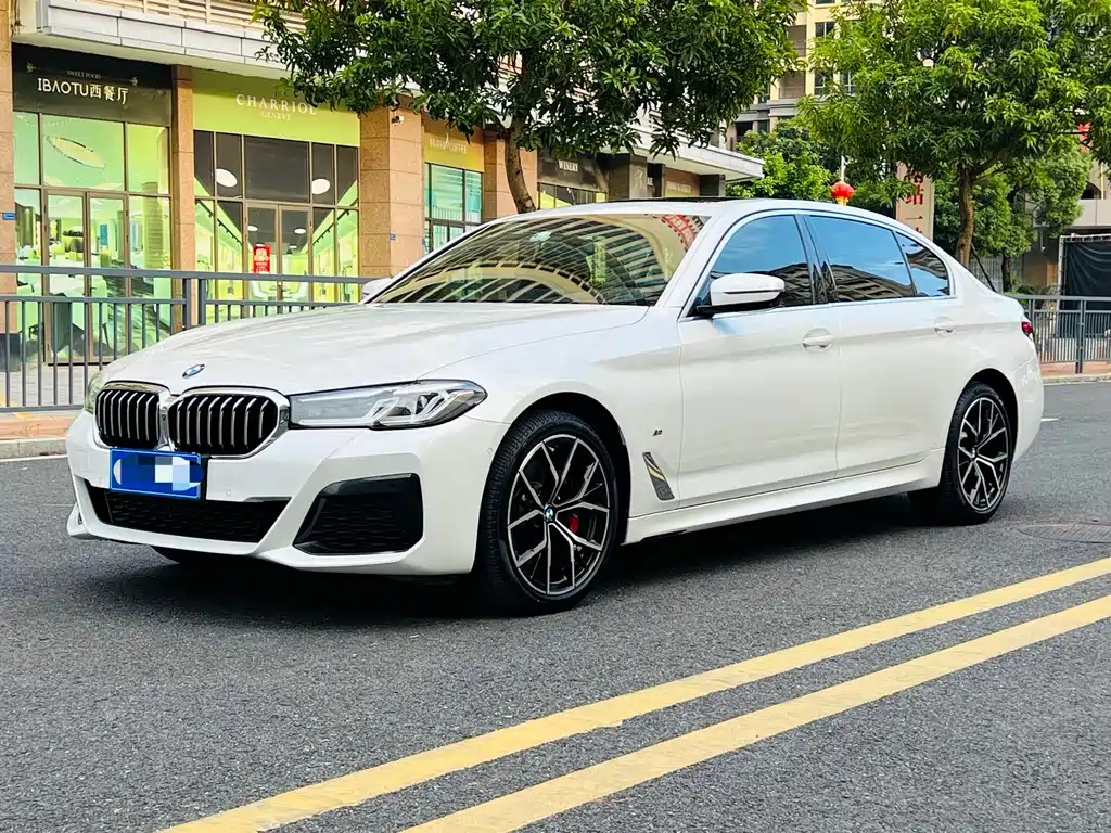 BMW 5 SERIES