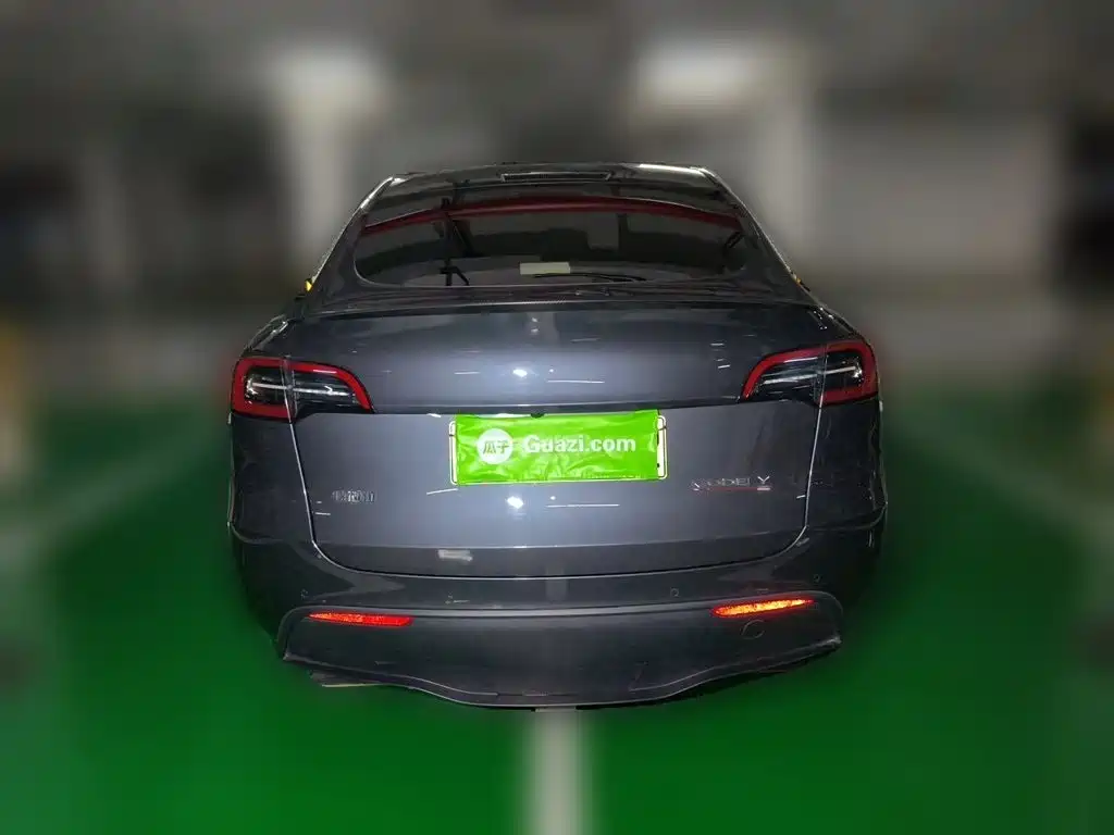 Tesla Model Y — миниатюра 6
