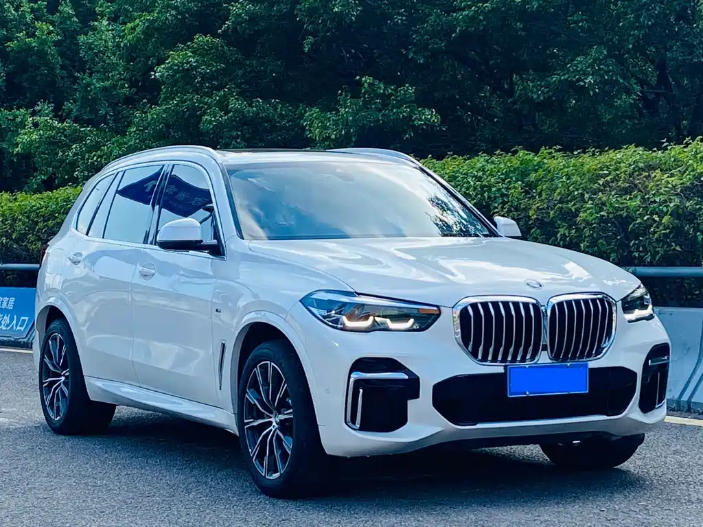 BMW X5 — миниатюра 3