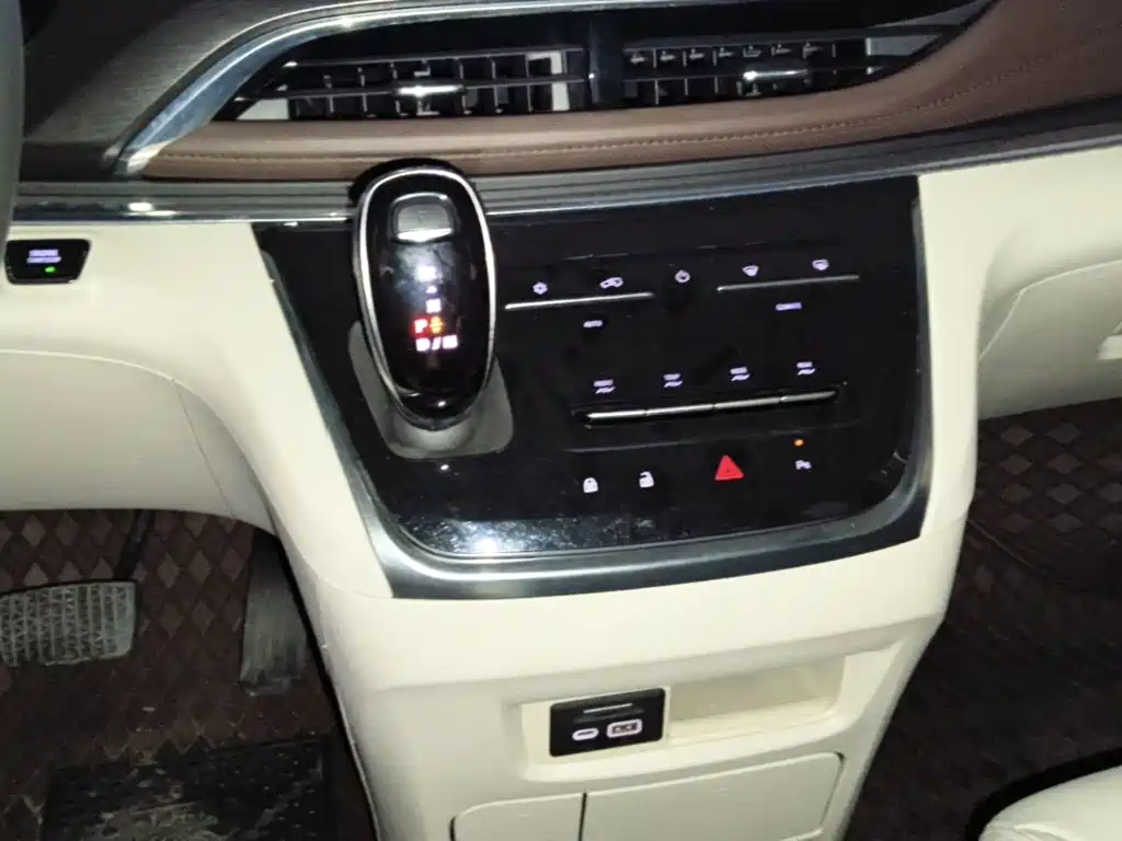 Buick GL8 — миниатюра 14