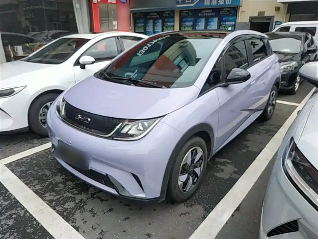 Byd Dolphin 2024