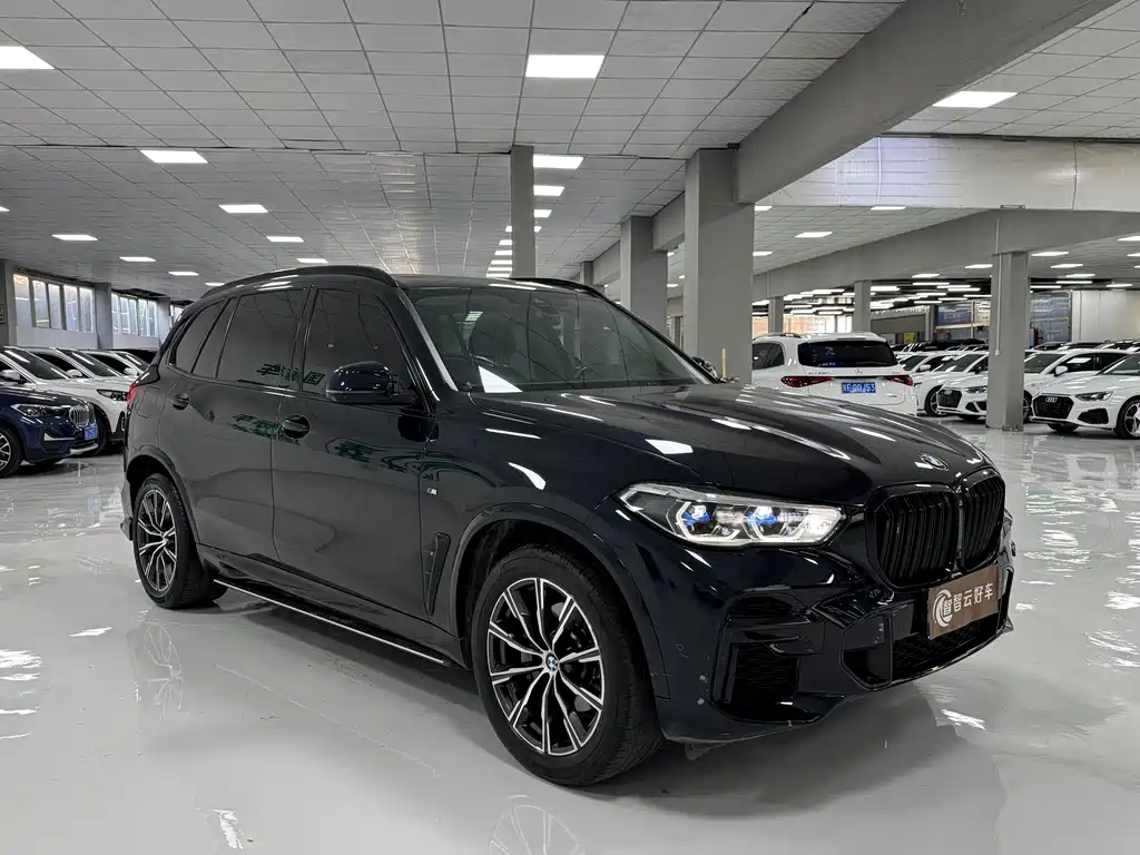 BMW X5 2022 xDrive 30Li Premium M Sport