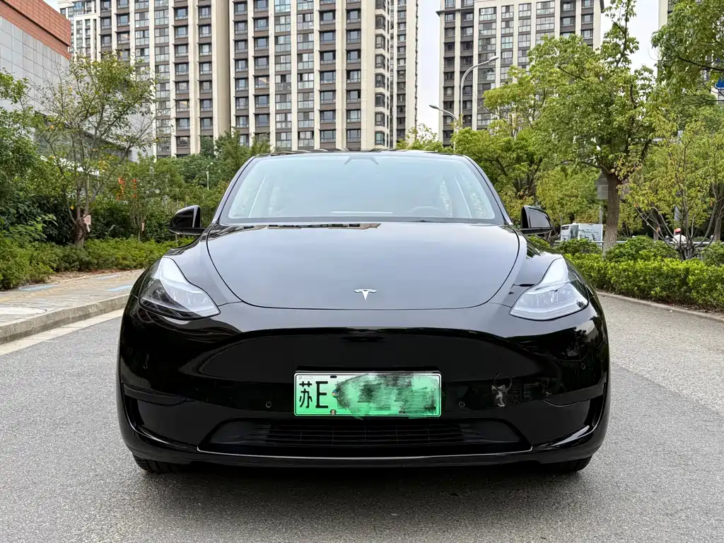 Tesla Model Y — миниатюра 2