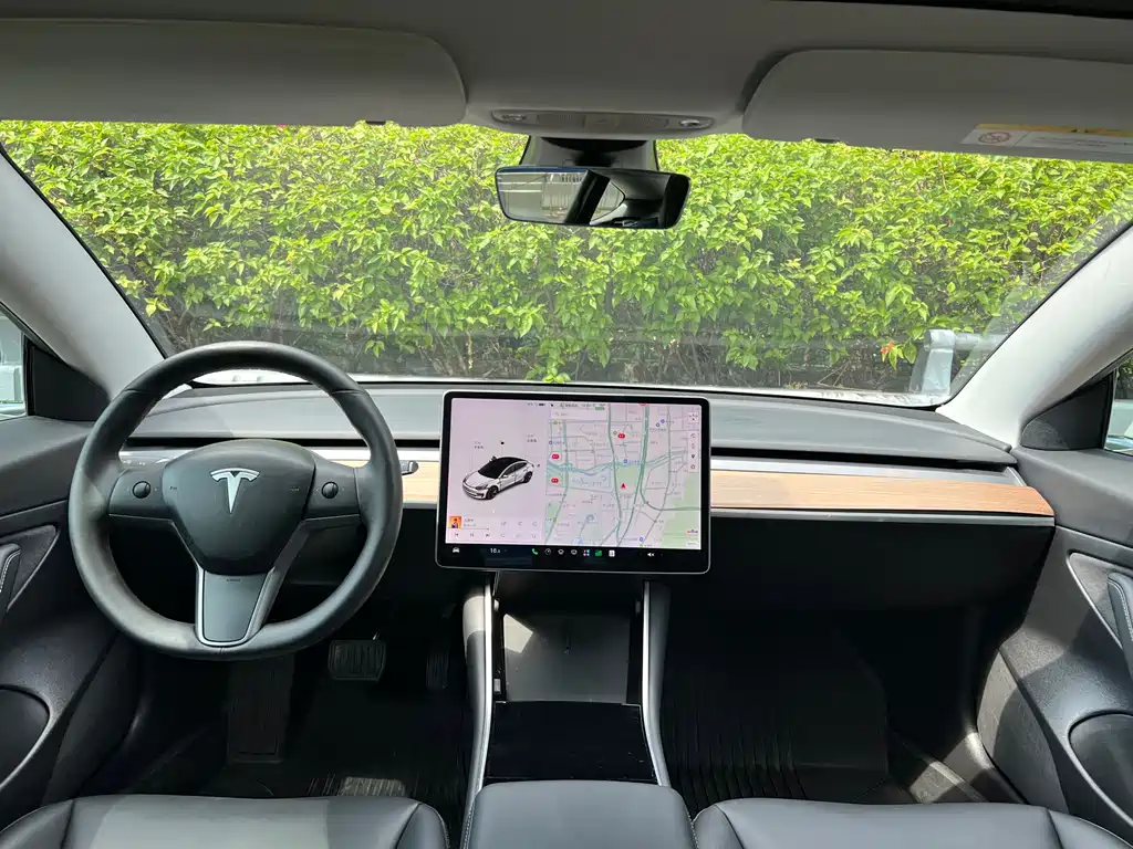 Tesla Model 3 — миниатюра 7