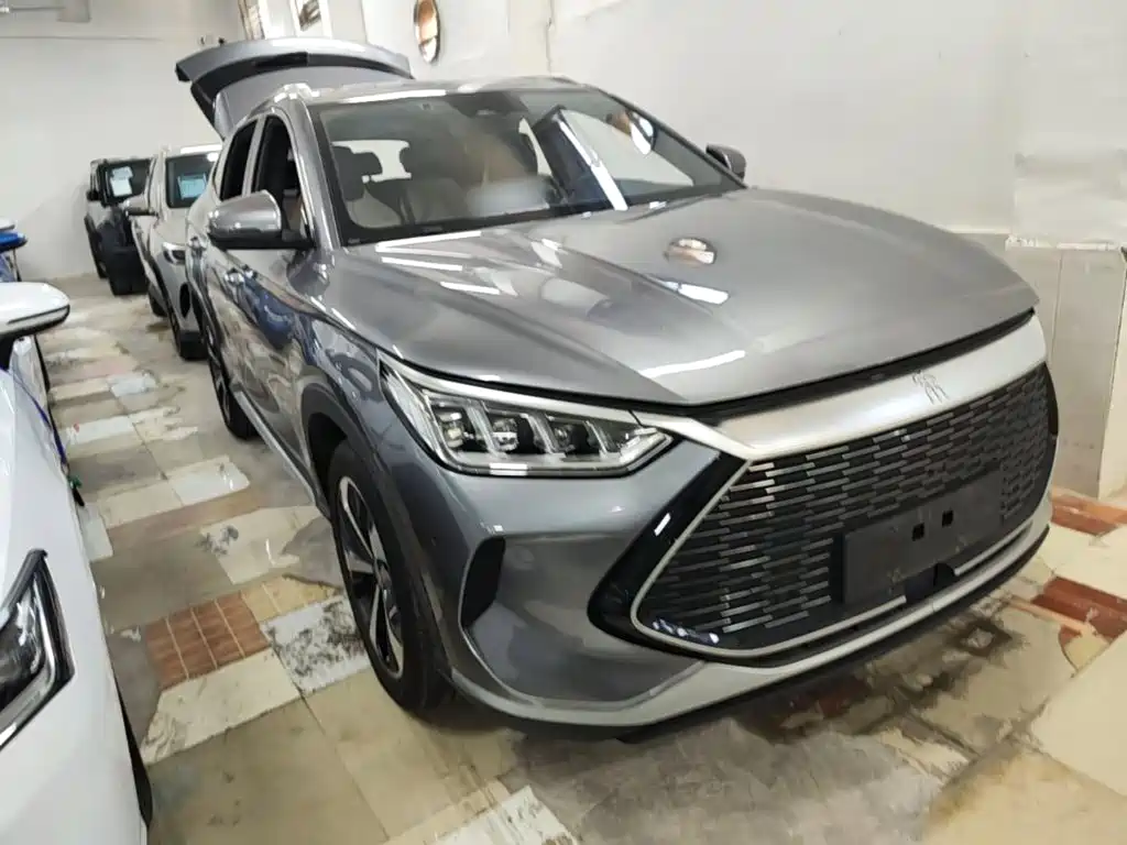BYD PLUS New Energy — миниатюра 4