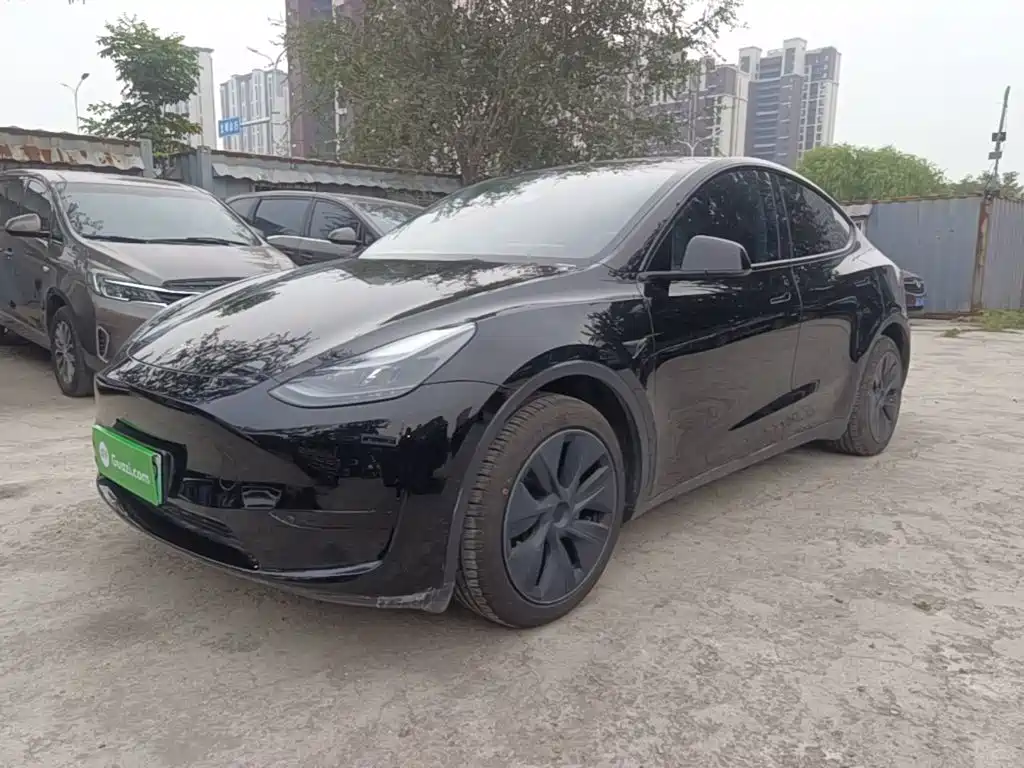 Tesla Model Y — миниатюра 2