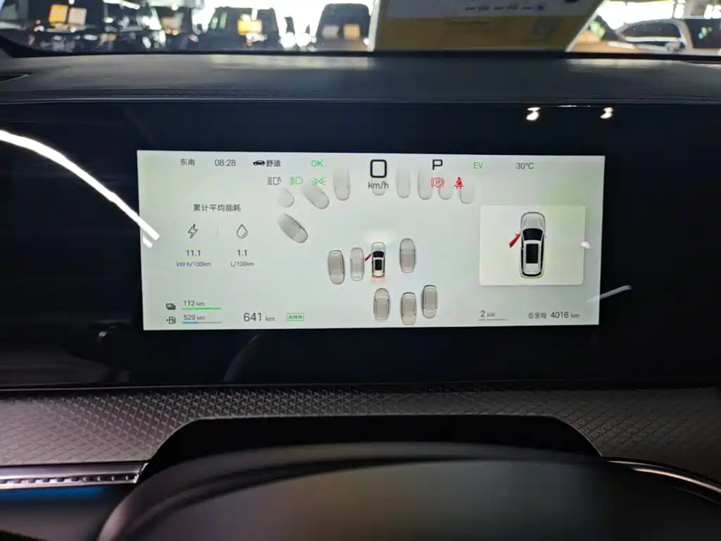 BYD Pro New Energy — миниатюра 12
