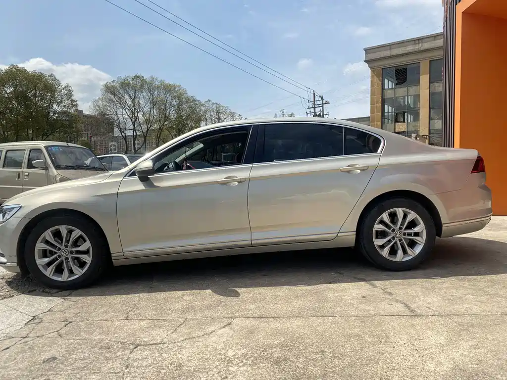 Volkswagen Magotan 2019 330TSI DSG Luxury VI