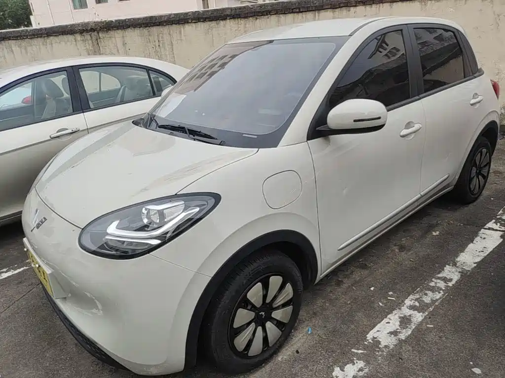 Wuling Bingo