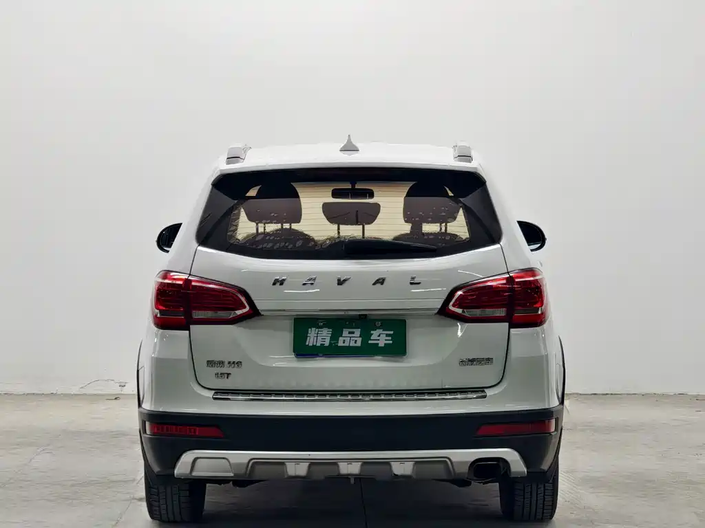 Haval H6 — миниатюра 5
