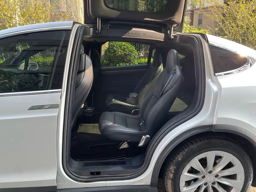 Tesla Model X — миниатюра 11