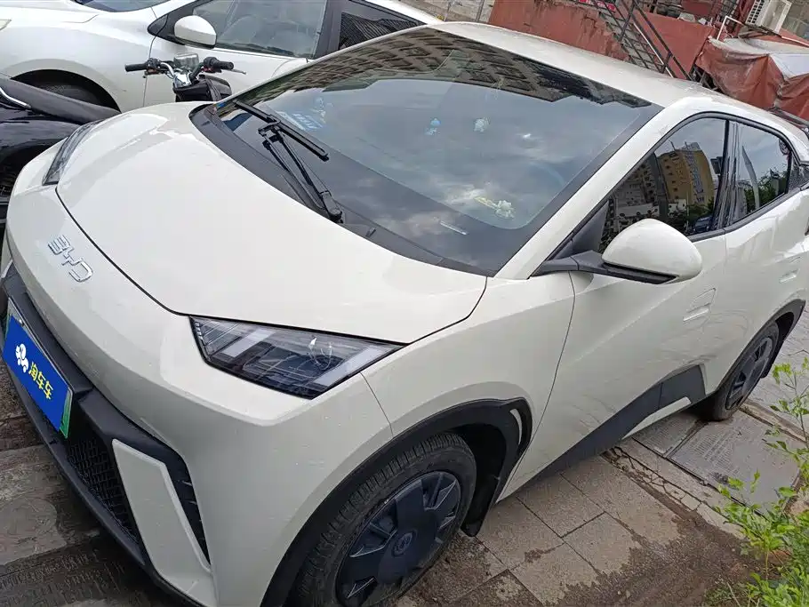Byd Seagull 2024