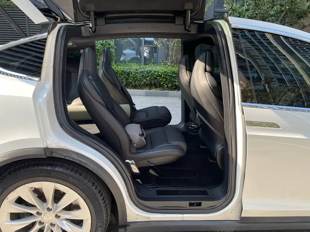 Tesla Model X — миниатюра 13