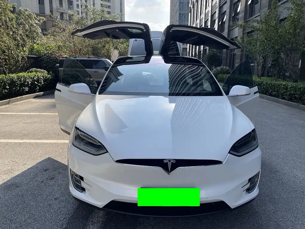 Tesla Model X — миниатюра 2
