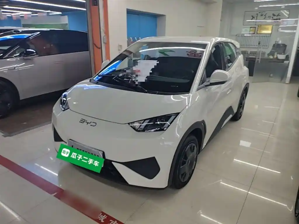 Byd Seagull 2025