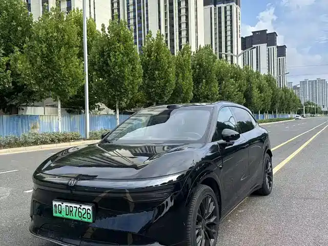 2024 Zeekr 7X