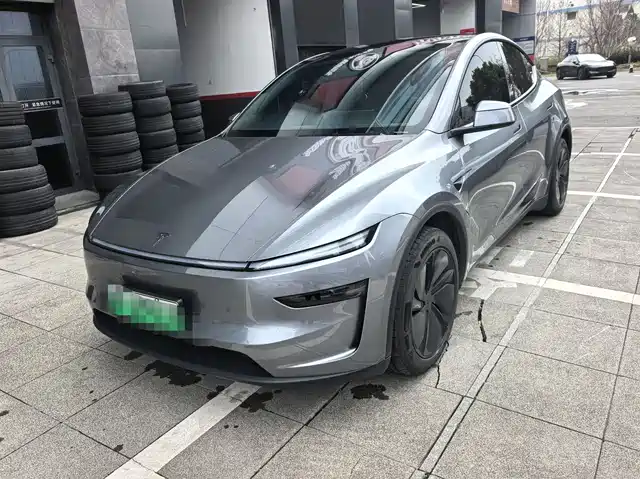 TESLA MODEL Y 2025