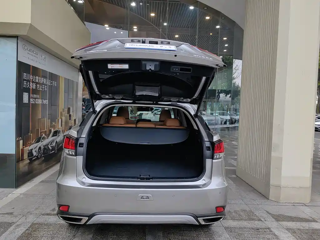 Lexus RX 2020 300 Elegant VI