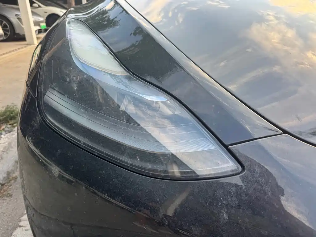 Tesla Model Y — миниатюра 4