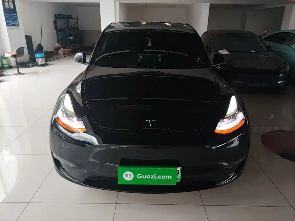 Tesla Model Y — миниатюра 3